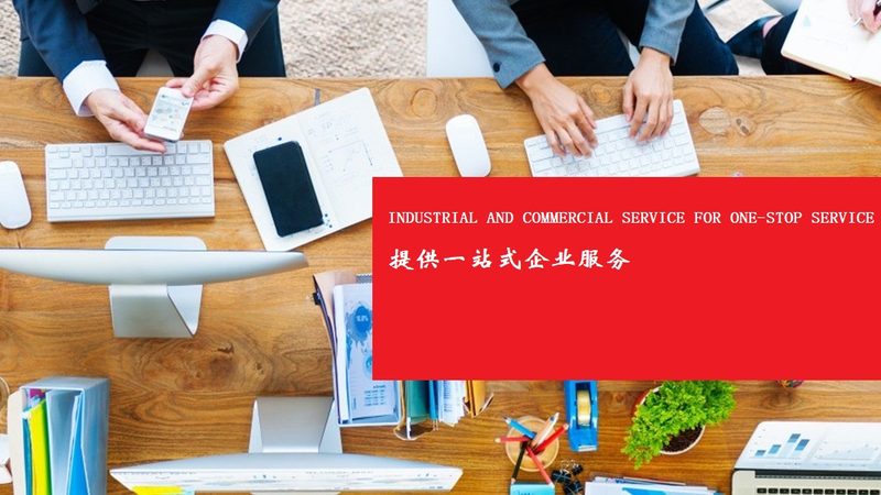 人力资源咨询项目：揭秘企业提升效能的关键步骤**